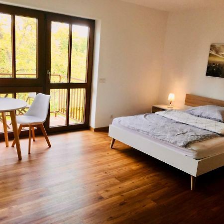 Modernes Studio Im Herzen Von Neustadt: Pfalzliebe Neustadt an der Weinstraße Εξωτερικό φωτογραφία